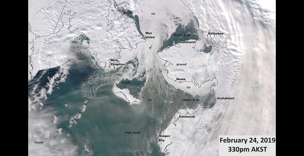 Photo courtesy UAF/GINA BLUE WHERE IT SHOULD BE WHITE— This satellite photo, taken on Sunday, Feb. 24, reveals a shocking lack of sea ice in the Bering Sea. The open water is connected to the blizzards hammering the region.