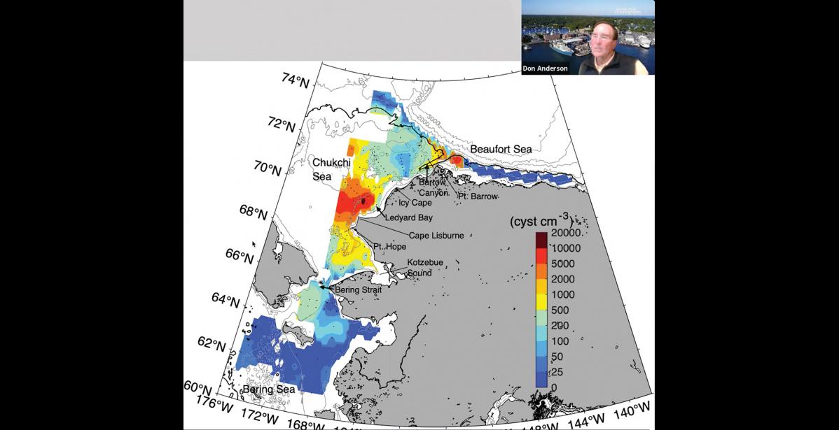 ALGAL HOTBEDS— The map shows algal cyst hotbeds off the northwest Alaska coast.