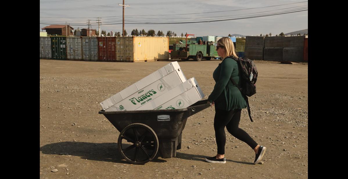 Photo by Laura Robertson FLOWERS—A woman wheels fresh flowers to restock the Westerdam during its stop in Nome.