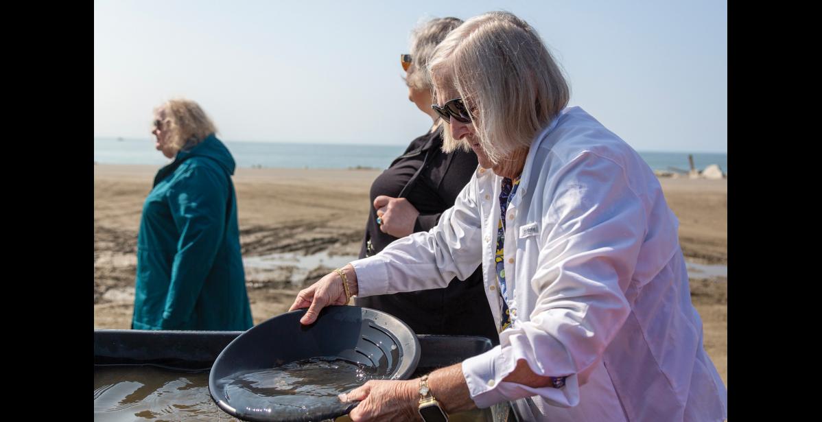 Photo by Sarah Manriquez LOOKING FOR GOLD— Westerdam cruise passenger Ann Uhde of Florida tries gold panning during a hands-on demonstration in Nome on Thursday, June 19, 2025. Uhde said she was looking forward to browsing the local craft fair and seeing the famous Iditarod burled arch outside Old St. Joe’s.