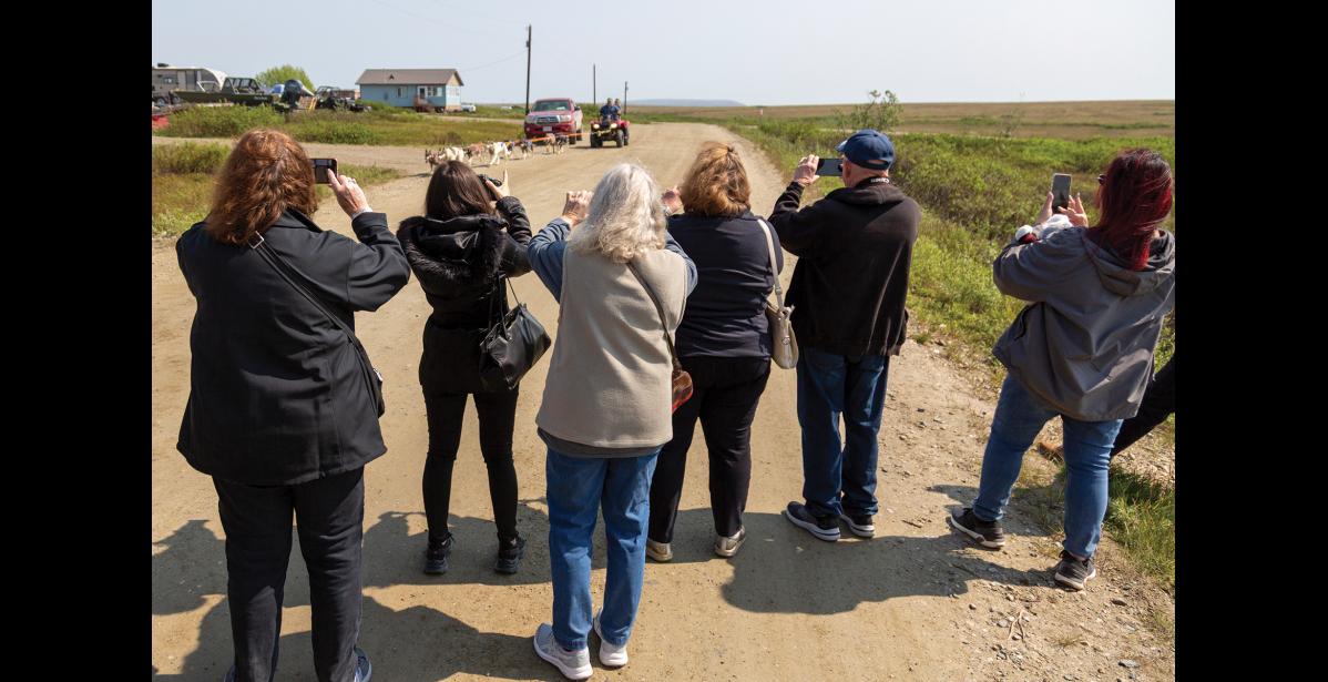 Photo by Sarah Manriquez CAMERA READY— Westerdam cruise passengers line up with cameras ready during a dog mushing demonstration on Osborn Road, south of Icy View in Nome, on Thursday, June 19, 2025. Iditarod veteran Nils Hahn ran his dog team hitched to a four-wheeler for the summer demonstration.