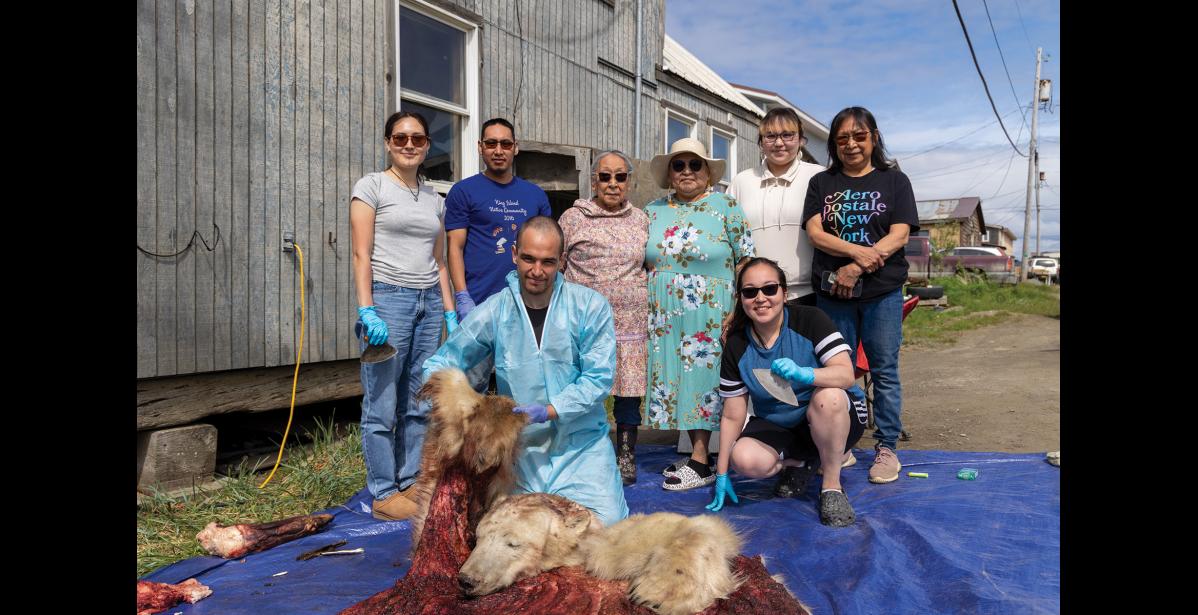 Photo by Sarah Manriquez ESPECT THE BEAR— Properly skinning and processing a harvested polar bear is an intergenerational act of respect, tradition and shared responsibility. June 23 was day three of fleshing the hide for Kaitlyn Painter, Charles Kokuluk, Frances Muktoyuk, Caroline Brown, Gabrielle Brown, Yvonne Muktoyuk, Jared Wiggins and Jessica Russell.