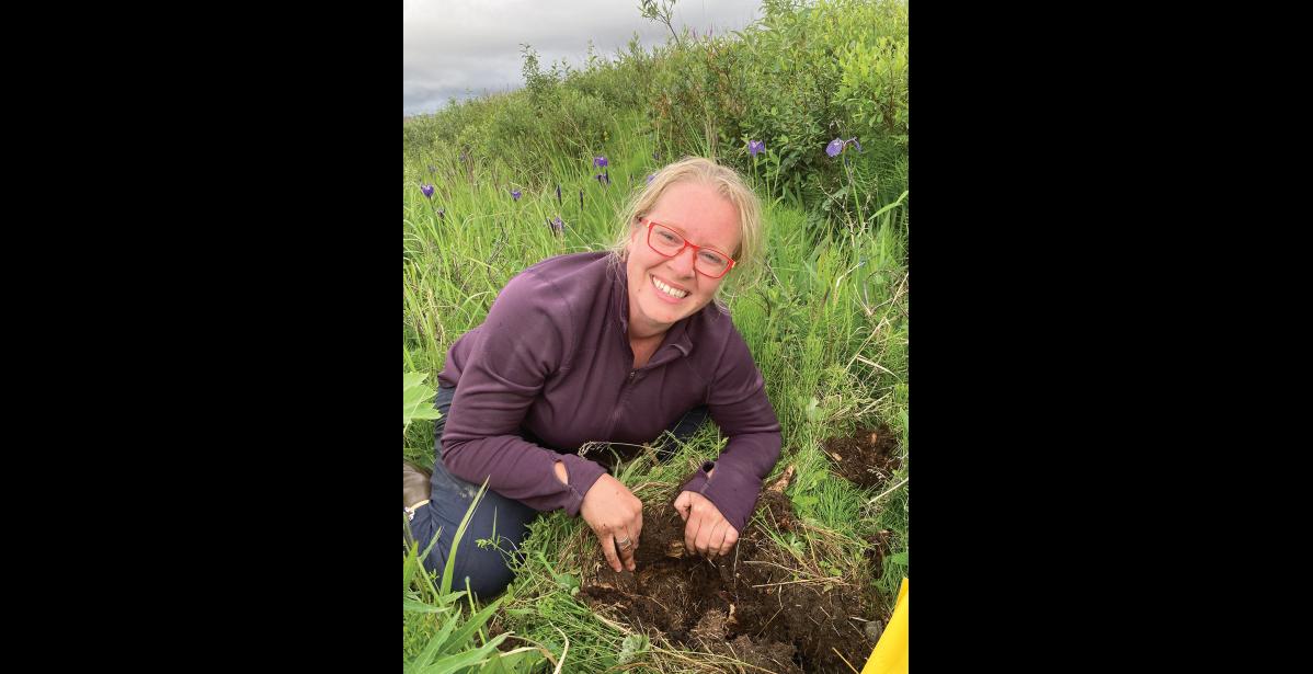 Photo courtesy Hailey Scofield and Leah Valdes LOOKING FOR BEES UNDERGROUND— Hailey Scofield peels back a segment of tundra to find a beehive.