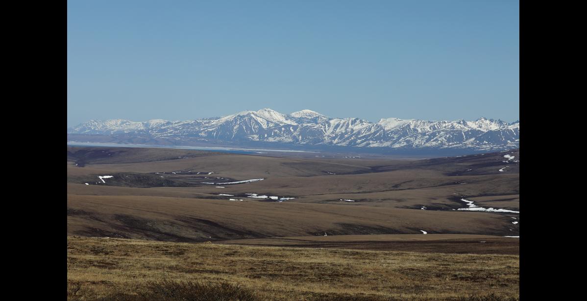The proposed mine site is located at the northern flanks of the Kigluaik Mountain range. Photo by Diana Haecker