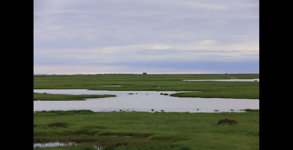 Photo by Diana Haecker A view to Bonanza Channel and the adjacent wetlands.