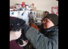 Photo by Jamie Oozeva VACCINATING— Chanelle Koonooka administers a distemper booster shot to a dog in Gambell on Monday.