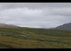 A rare sight for July: Snow fell on mountains surrounding Nome on July 18. 
