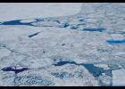 Photo courtesy NOAA DRIFTING IN ICE— The Norseman II, center, was drifting for two weeks icebound as scientists were aboard to conduct a walrus study.