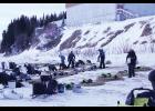 Dog teams in White Mountain rest before they headed into a storm that forced them to scratch from the race by accepting outside assistance.