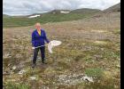 Photos courtesy Hailey Scofield and Leah Valdes BEE RESEARCHER— Hailey Scofield, formerly of Nome, and her research partner Leah Valdes came to Nome to study bumblebees.