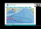 Graphic courtesy Alaska Sea Grant CHUM STOCKS — This map shows the distribution of different chum stocks sampled in the Gulf of Alaska in the winter of 2022. Stocks from Japan (represented in light blue) and Russia (shown in pink) tended to be found in the western portion of the gulf. Western Alaska stocks (shown in dark blue) were found across a wide swath of the southern Gulf of Alaska, said researcher Ed Farley.