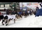 Iditarod participants must be vaccinated in the 2022 race. 