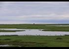 Photo by Diana Haecker A view to Bonanza Channel and the adjacent wetlands.