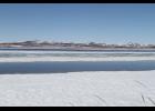Photo by Diana Haecker Swans gather at Bonanza Channel in this file photo taken in May.