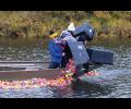 Nome celebrates Labor Day with bathtub, rubber duck races